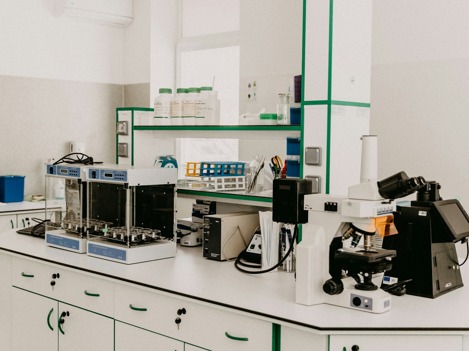 Read more about the article Protein in Urine: What It Means and What to Do Next