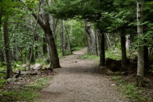 Read more about the article Can Weekend Exercise Improve Your Health?